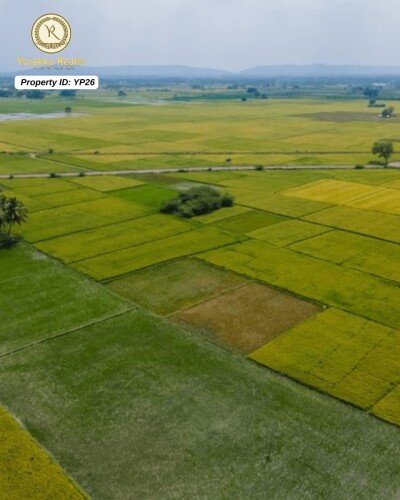 10 Guntha Road-Touch Agriculture Land for Sale – Vadgaon, Belagavi