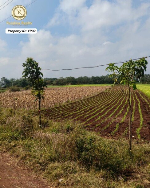 Non-NA Agriculture Land for Sale at Devagiri, Kakti – Road Facing-1