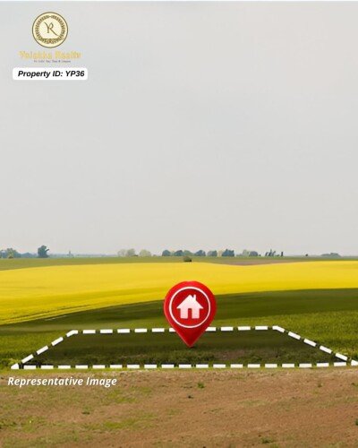 10 Acres Sugarcane Plantation Agricultural Land for Sale in Khanapur