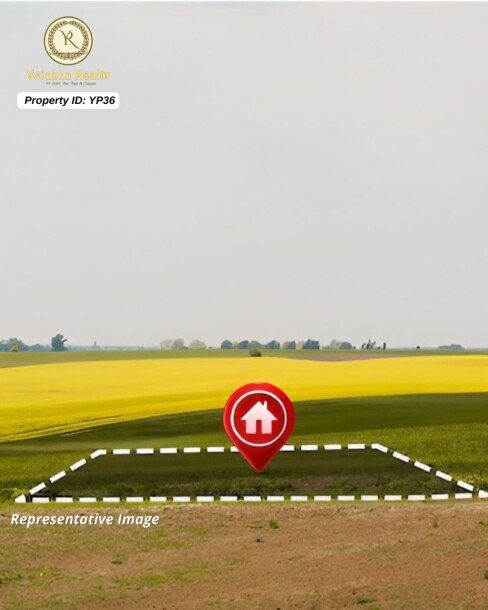 10 Acres Sugarcane Plantation Agricultural Land for Sale in Khanapur-1