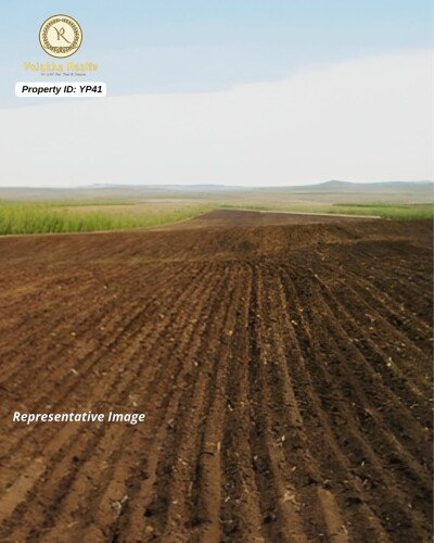 11.5 Acres Agriculture Land for Sale in Jamboti, Khanapur, Belagavi