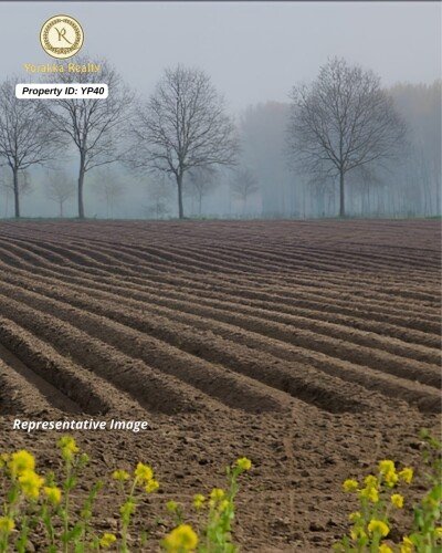 4.5 Acres Agriculture Land for Sale in Jamboti, Khanapur, Belagavi