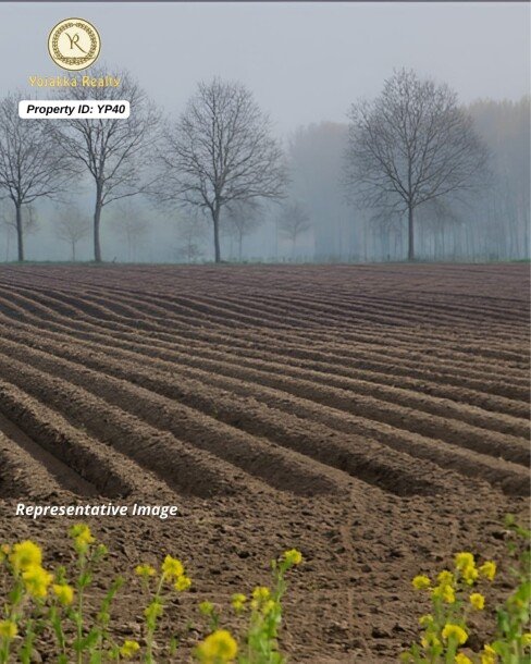 4.5 Acres Agriculture Land for Sale in Jamboti, Khanapur, Belagavi-1