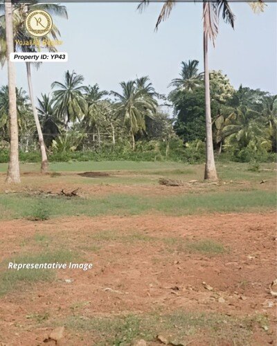 5 Acres Agriculture Land for Sale in Jamboti, Khanapur, Belagavi