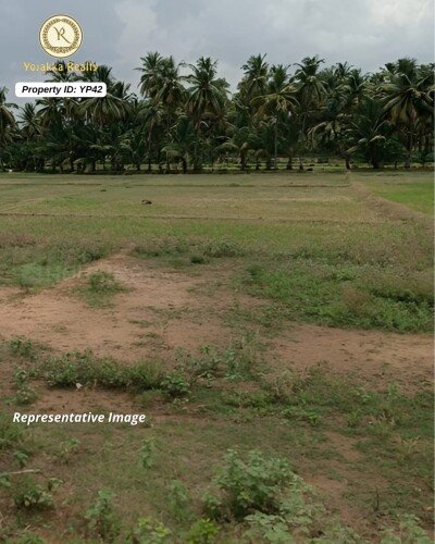 5 Acres Agriculture Land for Sale in Jamboti, Khanapur, Belagavi