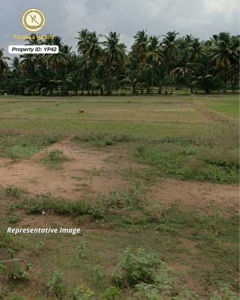 5 Acres Agriculture Land for Sale in Jamboti, Khanapur, Belagavi-1