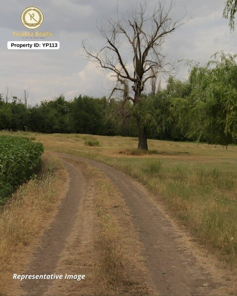 4 Acres Prime Land for Sale in Amate, Belagavi – ₹17 Lakhs per Acre-1